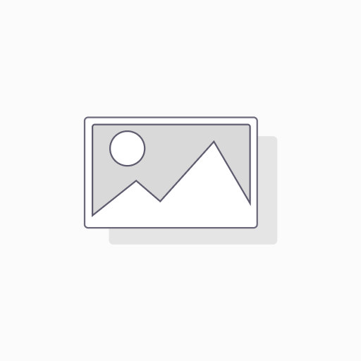 BAFSFX2         30,0X  50,0X 10,0 80HNBR